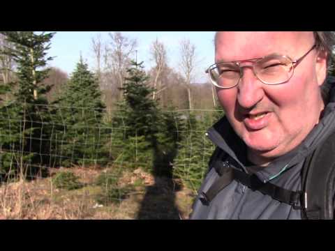 MongoTV_2116 - Del 3 - Forår Ved Frederiksdal Onsdag Den 27.Februar 2019