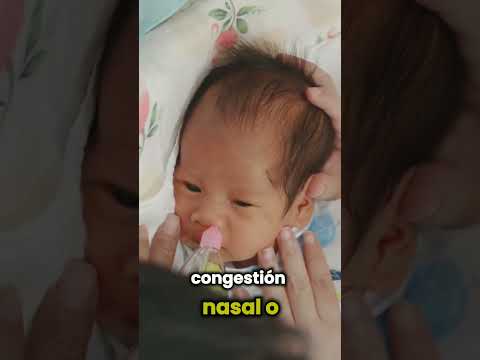 Myriam Liliana Camargo Miranda-17