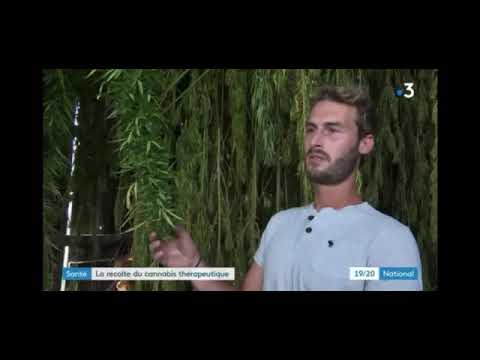 La Ferme Médicale au 19/20 JT de France 3
