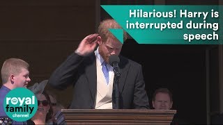 That bee really got me! Hilarious moment Prince Harry is interrupted during speech