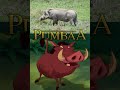 Pumbaa Is A Warthog
