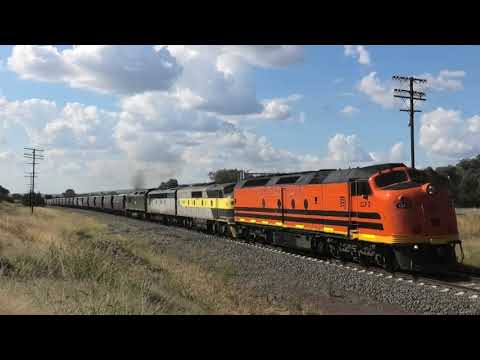 From North To South / SSR Grain Border Chase