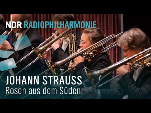 Johann Strauss: "Rosen aus dem Süden" mit Andrew Manze | NDR Radiophilharmonie