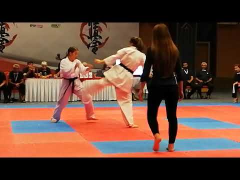 Uluslararası Açık Kyokushin Şampiyonası