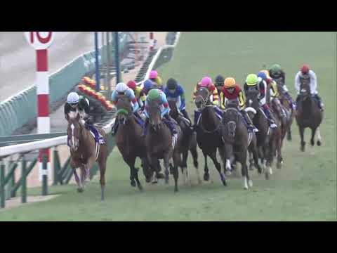 2020 Arima Kinen International Group 1 2500m