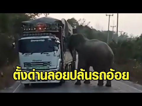 คลิกเพื่อดูคลิปวิดีโอ