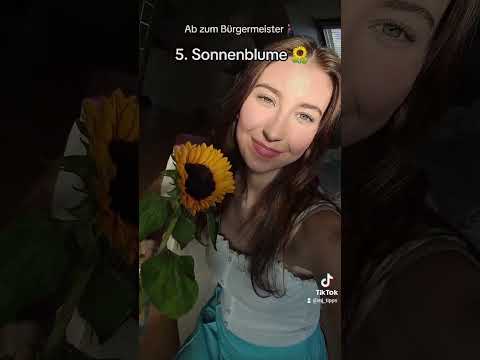 Jetzt Bock aufn 1.0er?🙈 #shorts #short #schule #bildung #abi #abitur #motivation #lernen #mjtipps