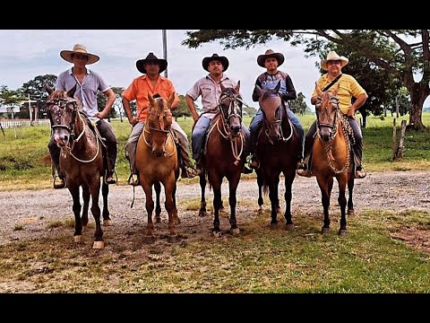 LOS 5 LAZOS DEL LLANO Y LOS NIÑOS (AUDIO ORIGINAL)- Jesús Daniel Quintero - El Tigrito de Matanegra