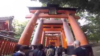 Mason Jennings &quot;Darkness Between the Fireflies&quot;