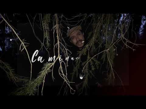 Selva - Felipe Romero (Official Lyrics Video)
