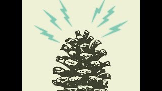 Southern Culture on the Skids - Baby I Like You - From the Album "The Electric Pinecones" (lyrics)