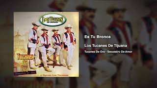 Es Tu Bronca – Los Tucanes De Tijuana (Audio Oficial)