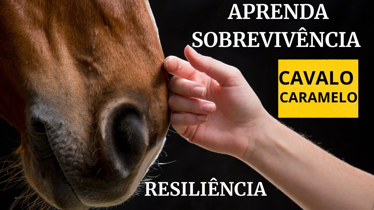 APREENDA  SOBREVIVÊNCIA E  RESILIÊNCIA COM O CAVALO CARAMELO