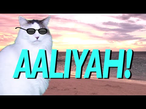 HAPPY BIRTHDAY AALIYAH! - EPIC CAT Happy Birthday Song