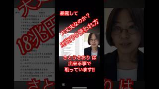 【暫定版ですが、公開します】 #さとうさおり #減税党  #DOGE #ショート