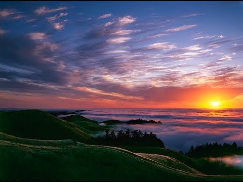 S.Mandelker PhD: On Dukkha (Core Stress), VIII