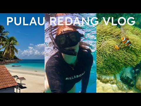Pulau Redang 🏝️・Is this the most beautiful island in Southeast Asia? Malaysia's hidden Paradise