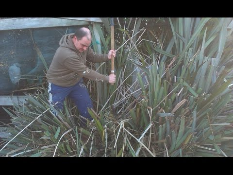 Update on Emporium Brewing - HBW pt 82