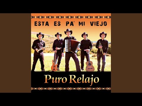 Caballo Prieto Azabache