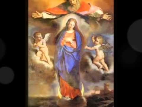 Maria da Assunção - Católica