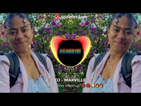 DJ MAXVILLE - ROSI Mashup Remix 🫡🍻🔥🔥