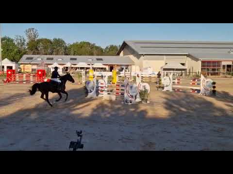 OTIS VAN HET SARNAHOF