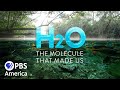 H2O The Molecule That Made Us Pulse 2020 Full Documentary