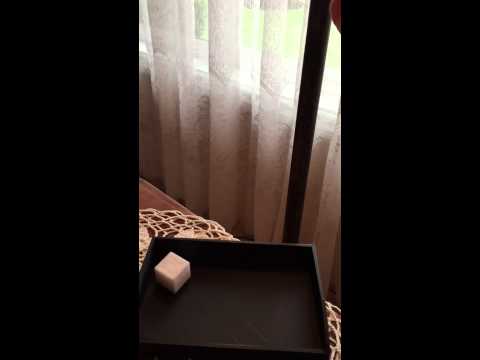 3D printed tactile dice roll in Slo-Mo