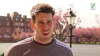 Offaly v Galway Leinster SHC 2018 Preview