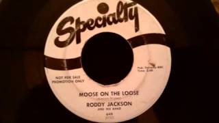 Roddy Jackson   Moose On The Loose