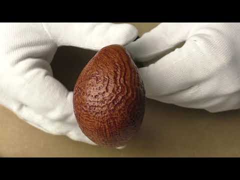 Il Ceppo 1 - pipe 216