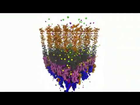 Membrane Builder Tutorial 4 - Building  Outer Membrane containing btuB