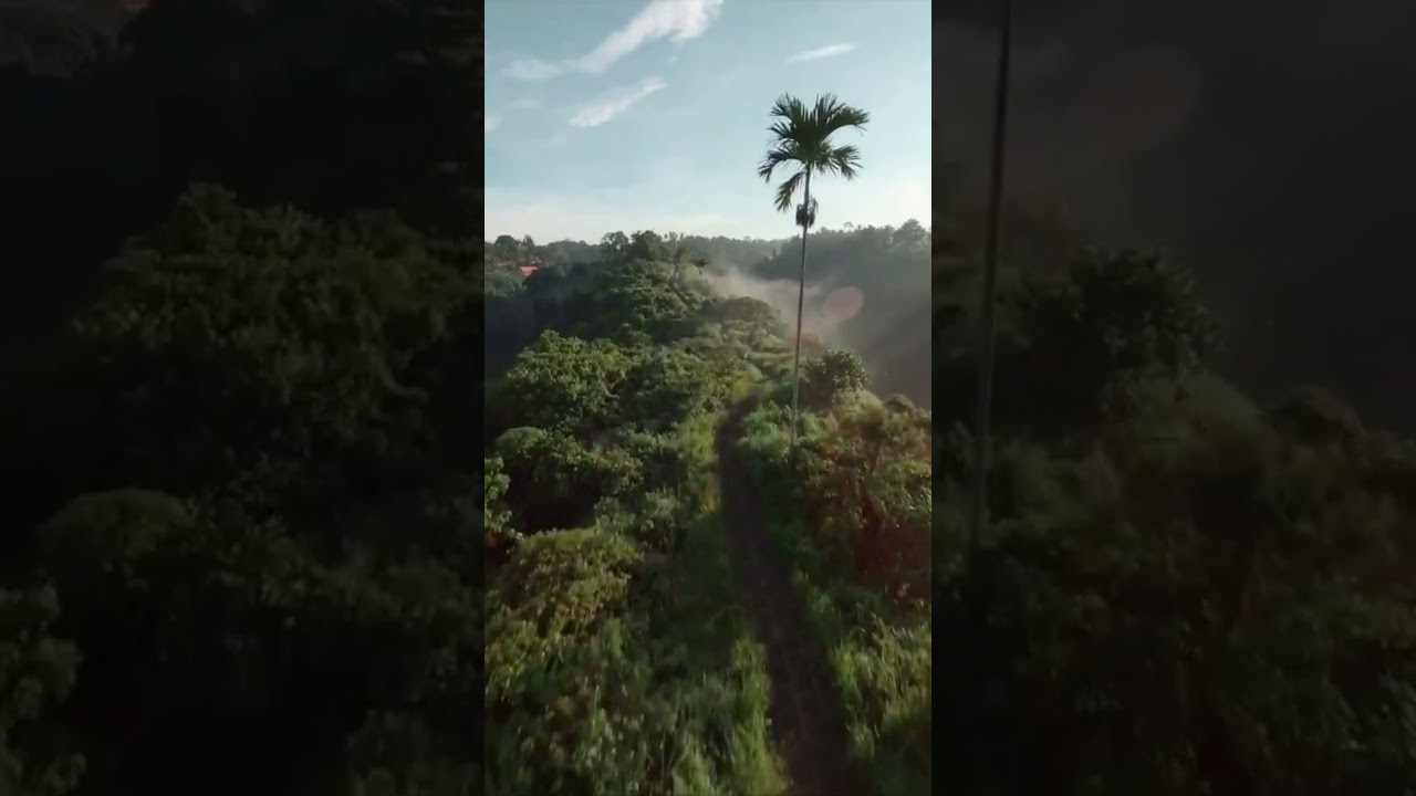 YouTube Short thumbnail