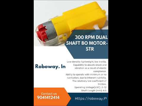 300 rpm dual shaft bo motor-straight