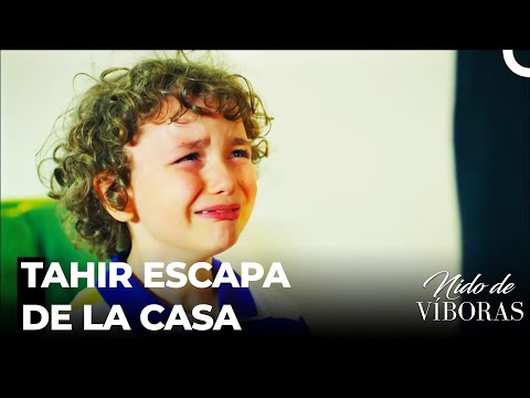Defne Se Desapareció - Nido De Víboras Capitulo 13 (Dobladas en Español)