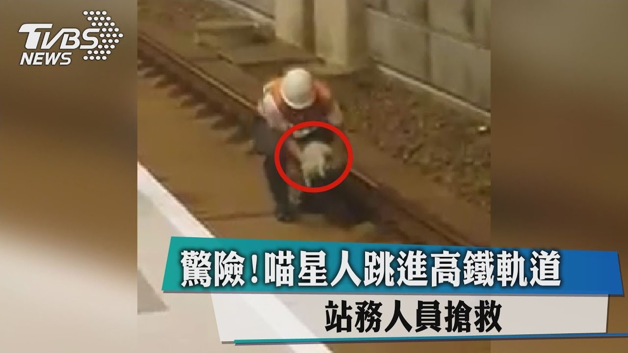 影／扯！貓咪沒顧好溜進軌道　高鐵斷電處理