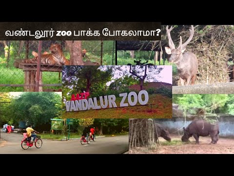 image-Is vandalur zoo open after lockdown?