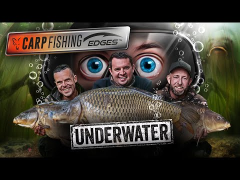 🎣 🤿 4 hours of mind blowing UNDERWATER action 🤯 | Fox Carp Fishing Edges Underwater (FULL FILM)