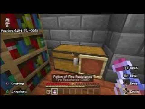 What to do?|minecraft