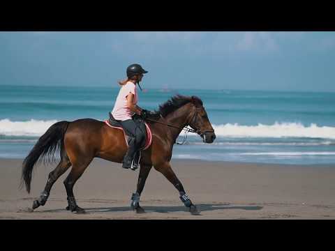 Alila Seminyak - Conscious Living