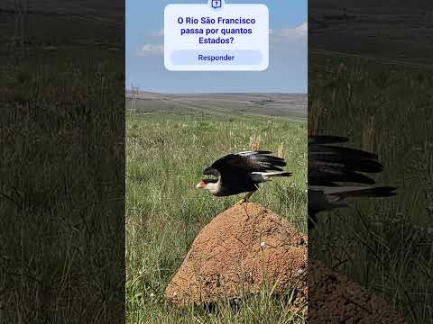 Serra da Canastra (São Roque de Minas)