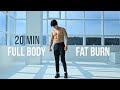 20 Min FULL BODY WORKOUT Fat Burn No Equipment