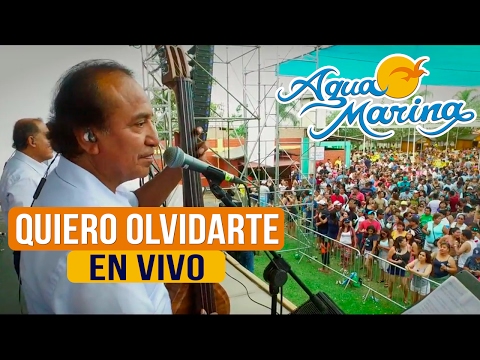 Agua Marina - Quiero Olvidarte (En Vivo)