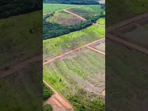 Fazendinhas últimas unidades disponíveis, divisa de Itatiaiuçu com Itaguara MG 20.000 M²