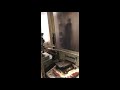 Přehrát video