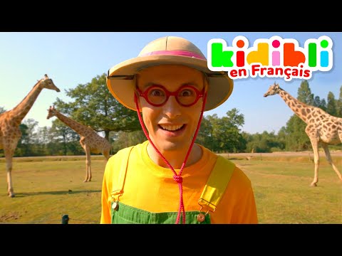 Safari à la découverte des Animaux de la Savane ! | Kidibli | Animaj Kids