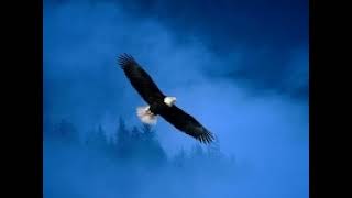 Toni Childs - The Dead Are Dancing