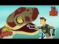 Escaping The Underwater Predator Creature Abilities Wild Kratts