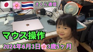いつのまにか簡単なマウス操作ができるようになってました🌸 さくら通信🌸2024年6月3日🌸日泰ハーフ3歳5ヶ月