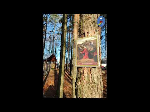 Czatachowa 03.03.2023 - Droga Krzyżowa